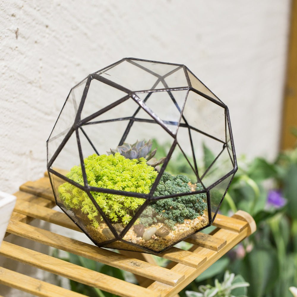 Handmade Triangular Pentagon Mix 32 - Sides Clear Glass Geometric Centerpiece Terrarium for Succulents - NCYPgarden