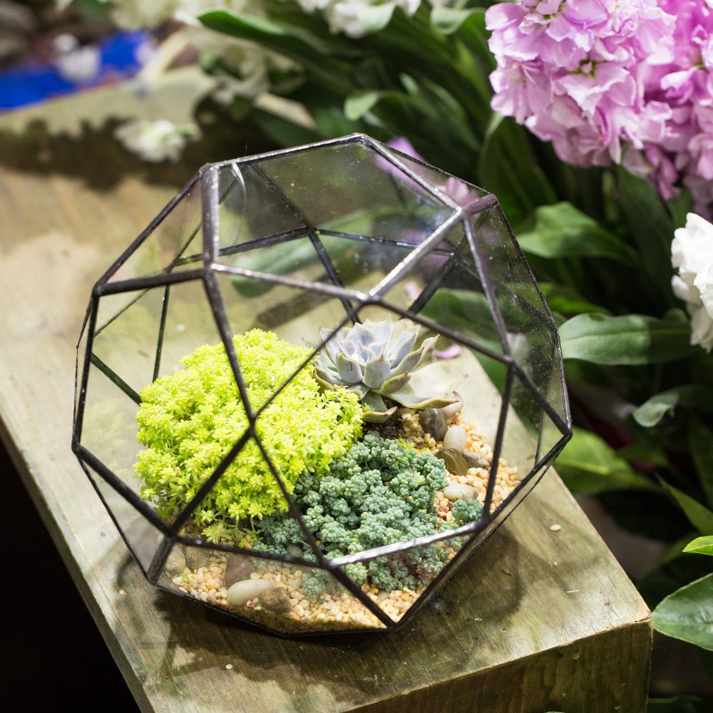 Handmade Triangular Pentagon Mix 32 - Sides Clear Glass Geometric Centerpiece Terrarium for Succulents - NCYPgarden