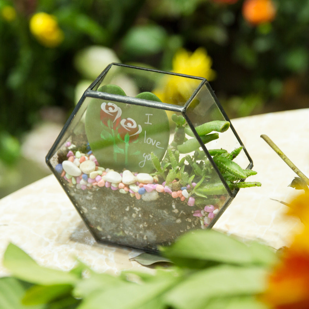 Handmade HoneycombThin Glass Geometric Terrarium for Succulents Moss - NCYPgarden