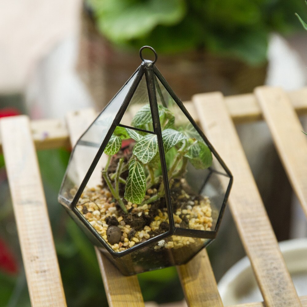 Handmade Small Teardrop Hanging Clear Glass Geometric Terrarium for Succulent Fern Airplants - NCYPgarden