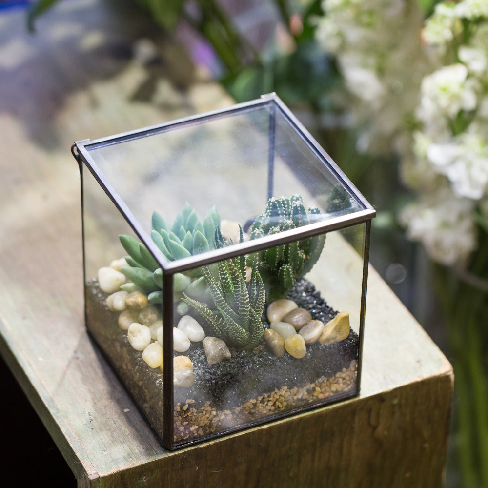 Handmade Small Square Glass Terrarium Box for Succulents Moss Jewelry Succulents - NCYPgarden