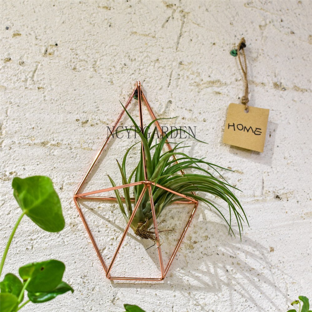Rustic Wall Mount Hanging Geometric Metal Tillandsia Air Plants Holder Iron Rack Black Wall Accent - NCYPgarden