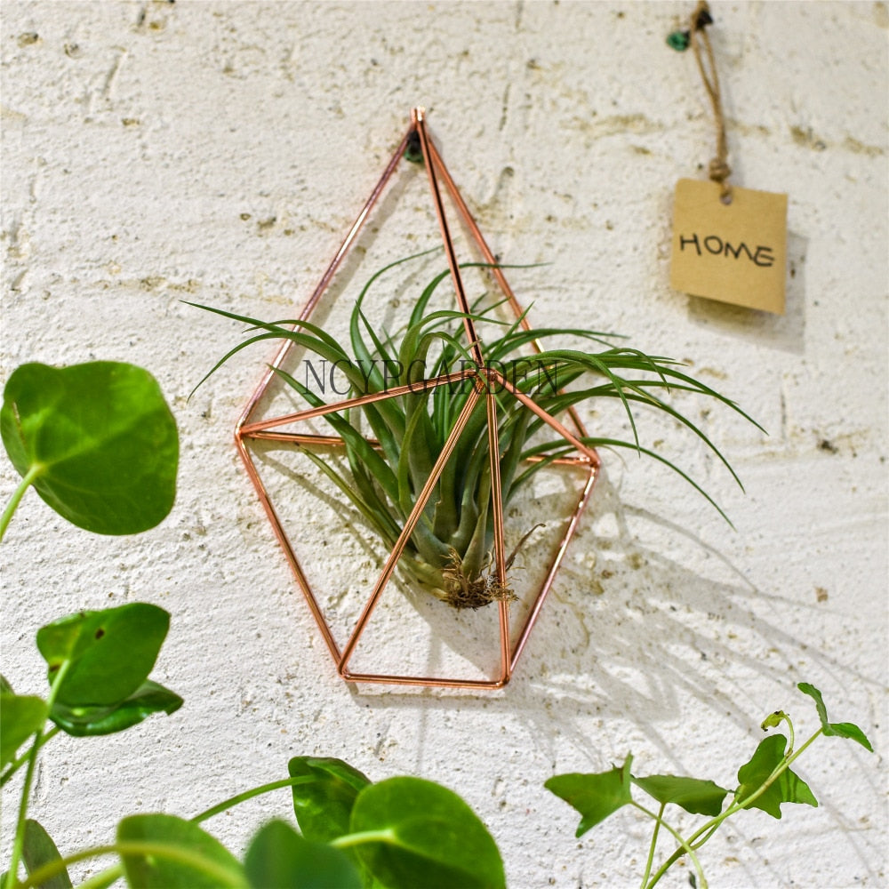 Rustic Wall Mount Hanging Geometric Metal Tillandsia Air Plants Holder Iron Rack Black Wall Accent - NCYPgarden
