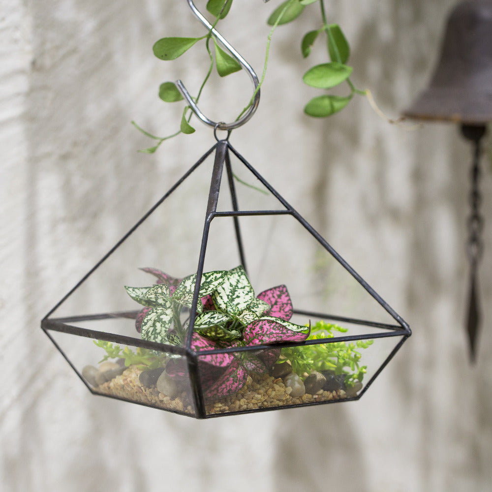 Handmade Black Vertebral Hanging Geometric Glass Terrarium for Succulent Fern Moss - NCYPgarden