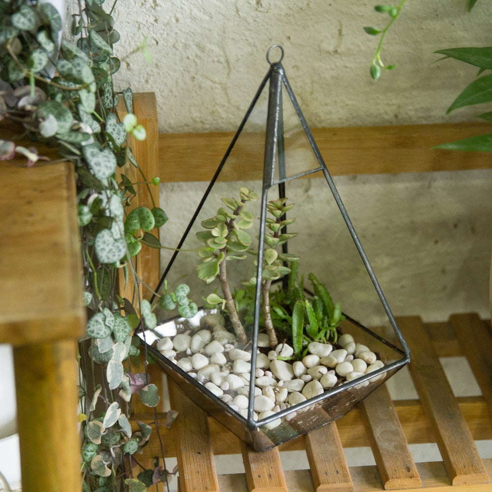 Handmade Glass Geometric Terrarium Indoor Outdoor Planter Landscape Wall Pyramid for Succulents - NCYPgarden