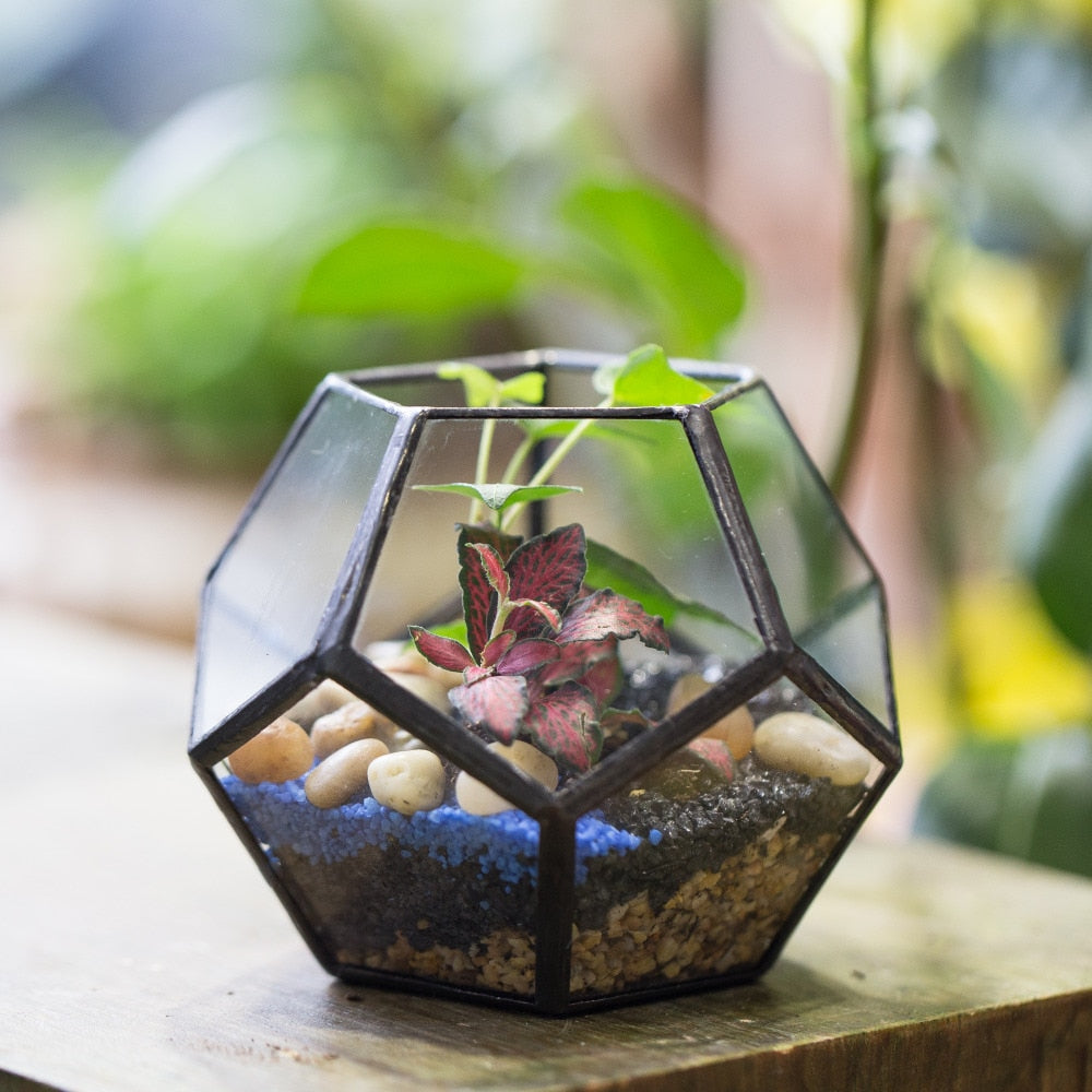 Handmade Mini Black Pentagon Glass Geometric Terrarium for Ring Box Moss - NCYPgarden