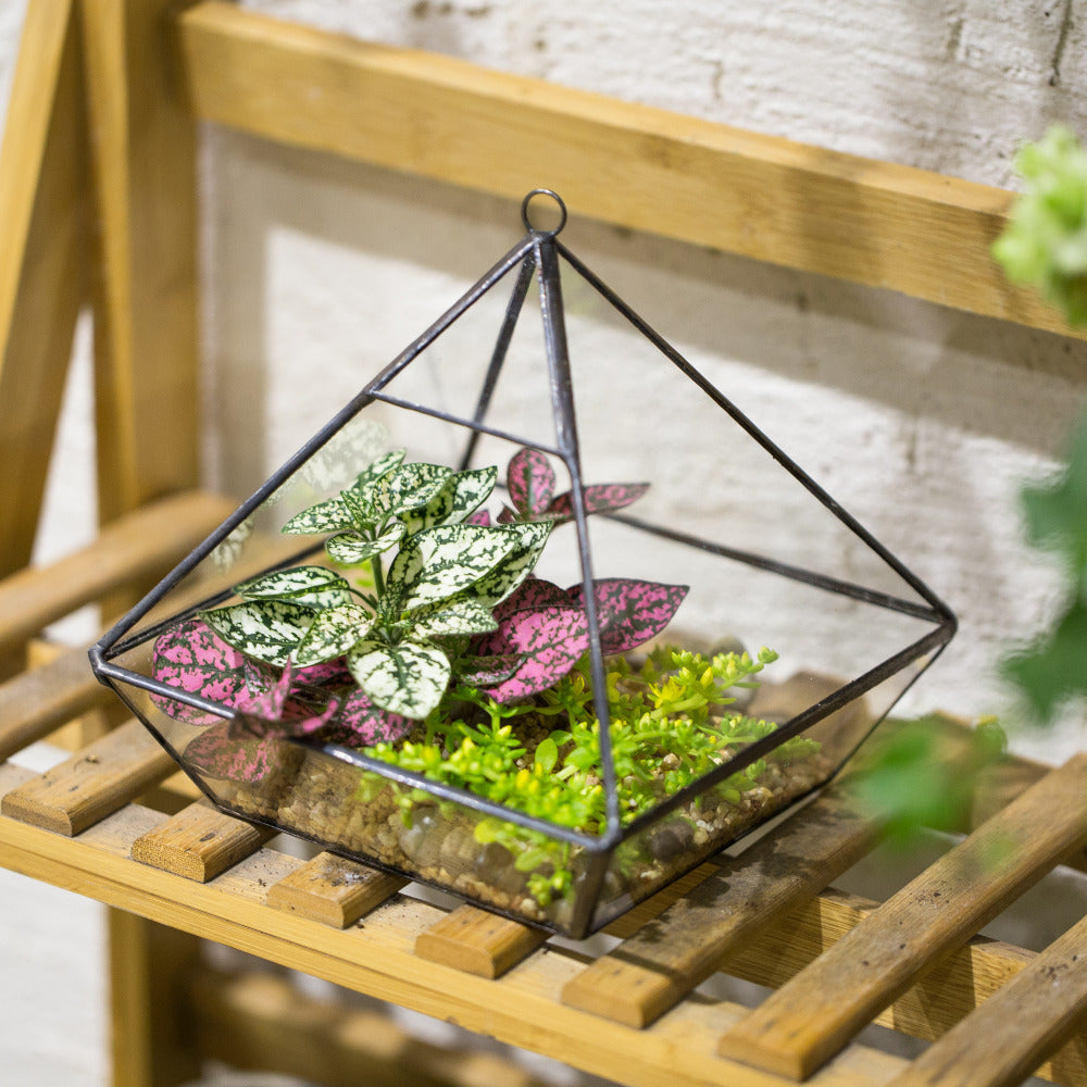 Handmade Black Vertebral Hanging Geometric Glass Terrarium for Succulent Fern Moss - NCYPgarden