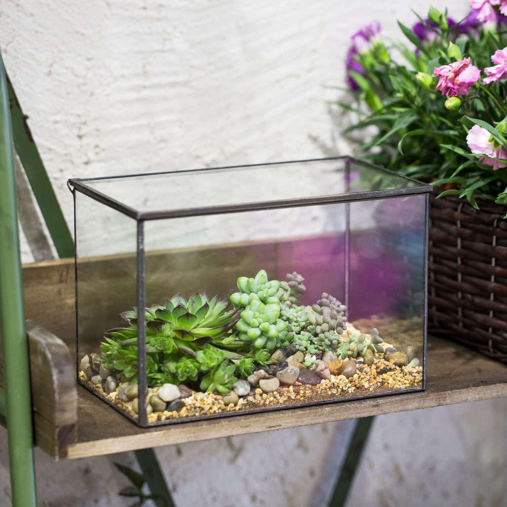 Handmade Rectangle Glass Geometric Terrarium with Lid  for Succulents Moss Fern - NCYPgarden