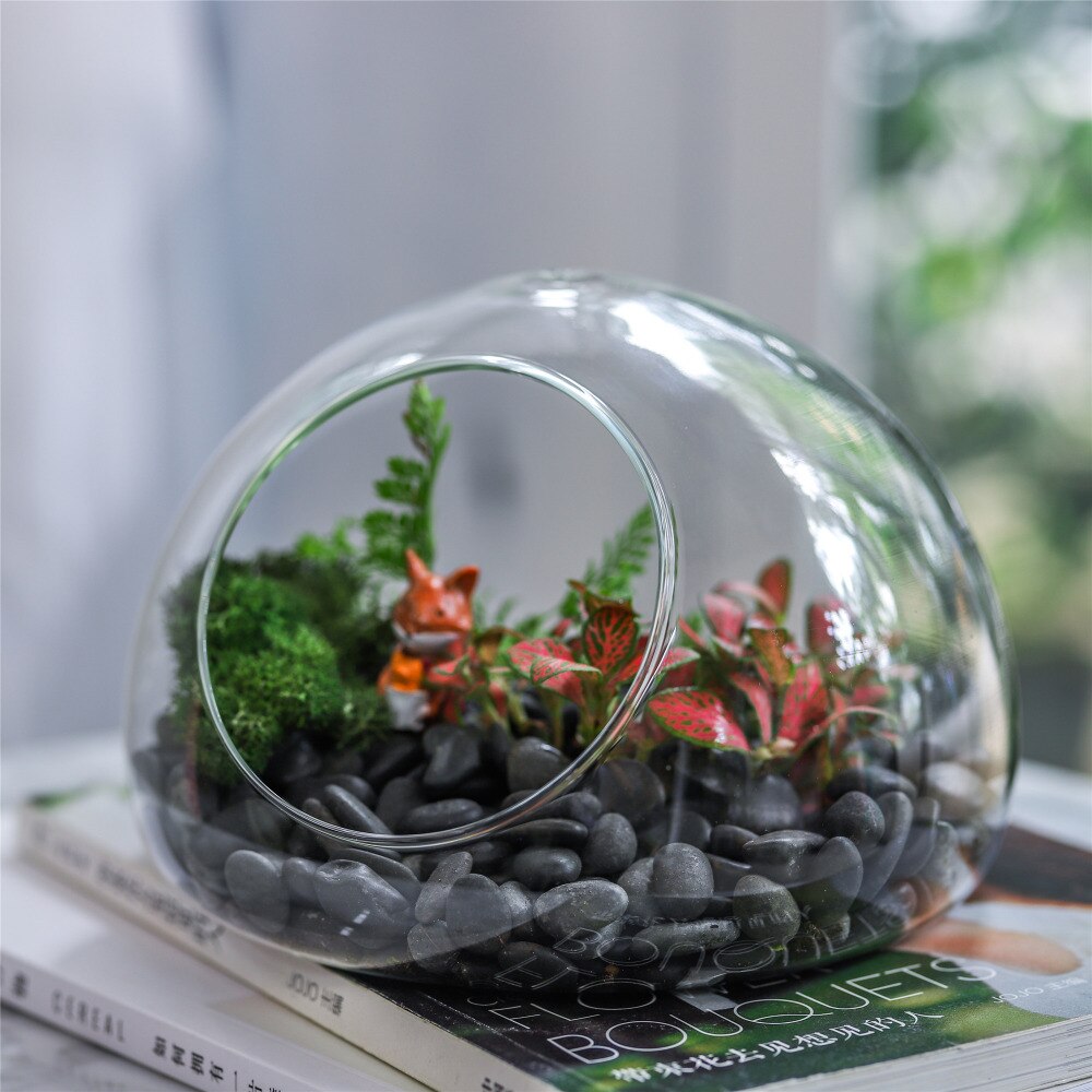 Hand Blown Glass Bubble Shape Globe Terrarium for Miniature Micro Landscape Airplants Moss - NCYPgarden