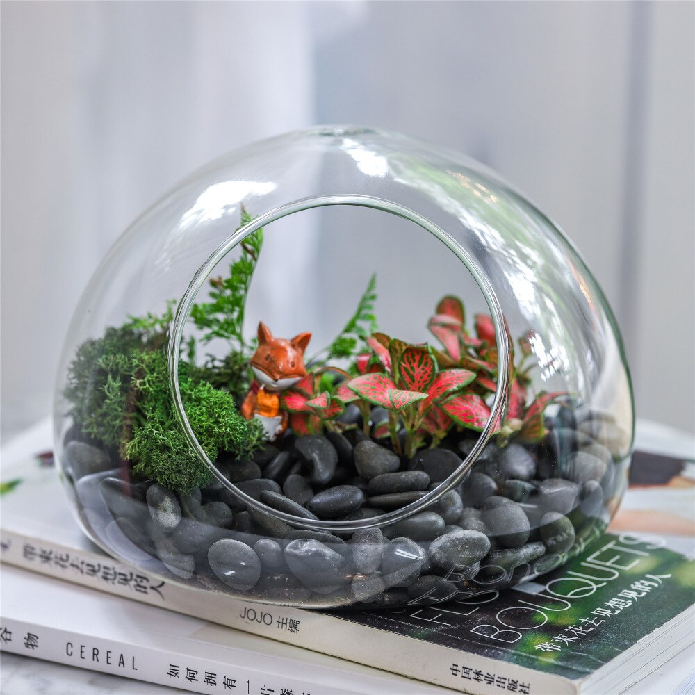 Hand Blown Glass Bubble Shape Globe Terrarium for Miniature Micro Landscape Airplants Moss - NCYPgarden