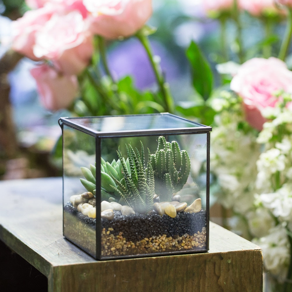 Handmade Square Glass Geometric Terrarium Box with Lid for Succulents Fern Moss - NCYPgarden