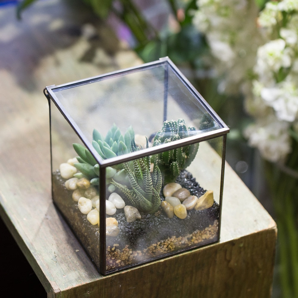 Handmade Square Glass Geometric Terrarium Box with Lid for Succulents Fern Moss - NCYPgarden