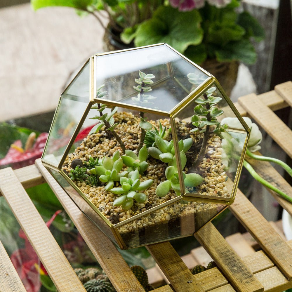 Handmade Gold Pentagon Geometric Glass Terrarium for Succulent Moss Airplants Wedding PP02A2 - NCYPgarden