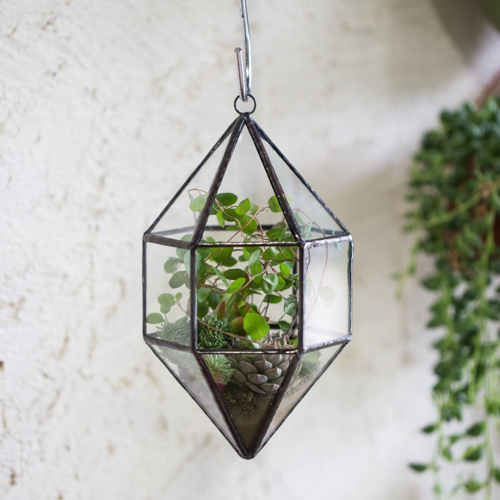 Handmade Hanging Cone Shape Glass Geometric Terrarium for Succulent Fern Moss - NCYPgarden