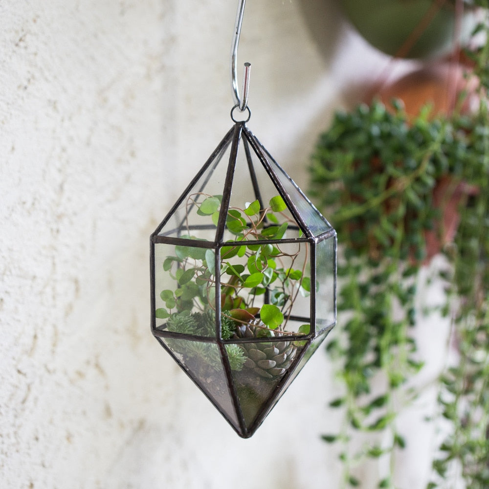 Handmade Hanging Cone Shape Glass Geometric Terrarium for Succulent Fern Moss - NCYPgarden