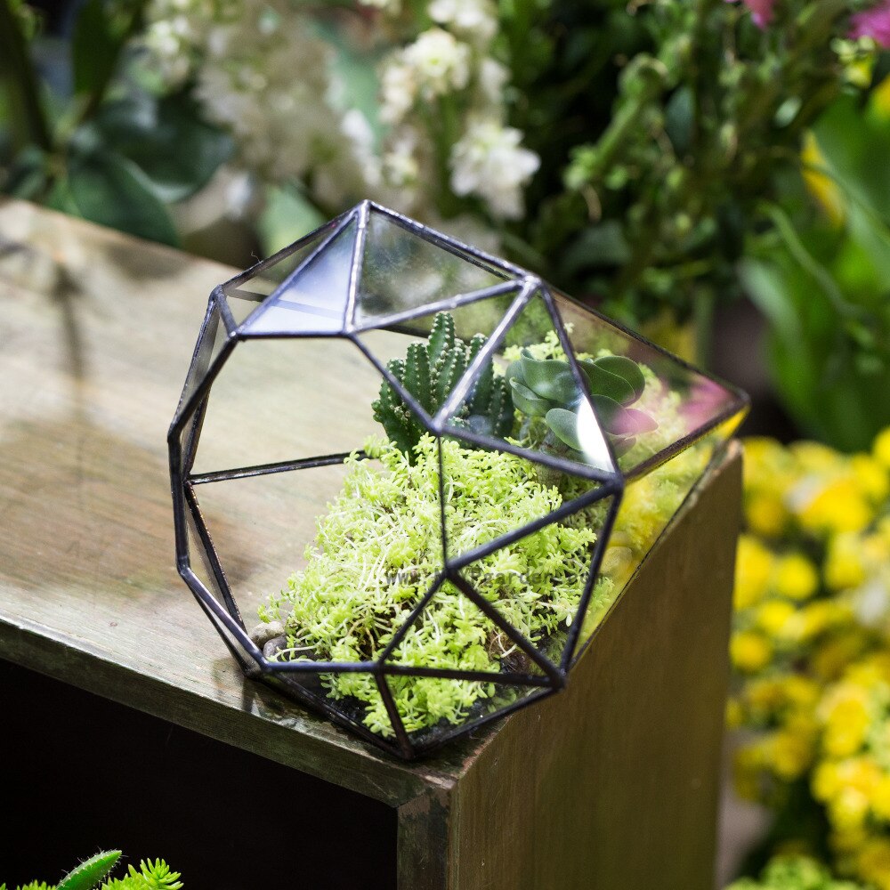 Handmade Long Diamond Glass Geometric Terrarium for Succulent Airplants Cacti Moss - NCYPgarden