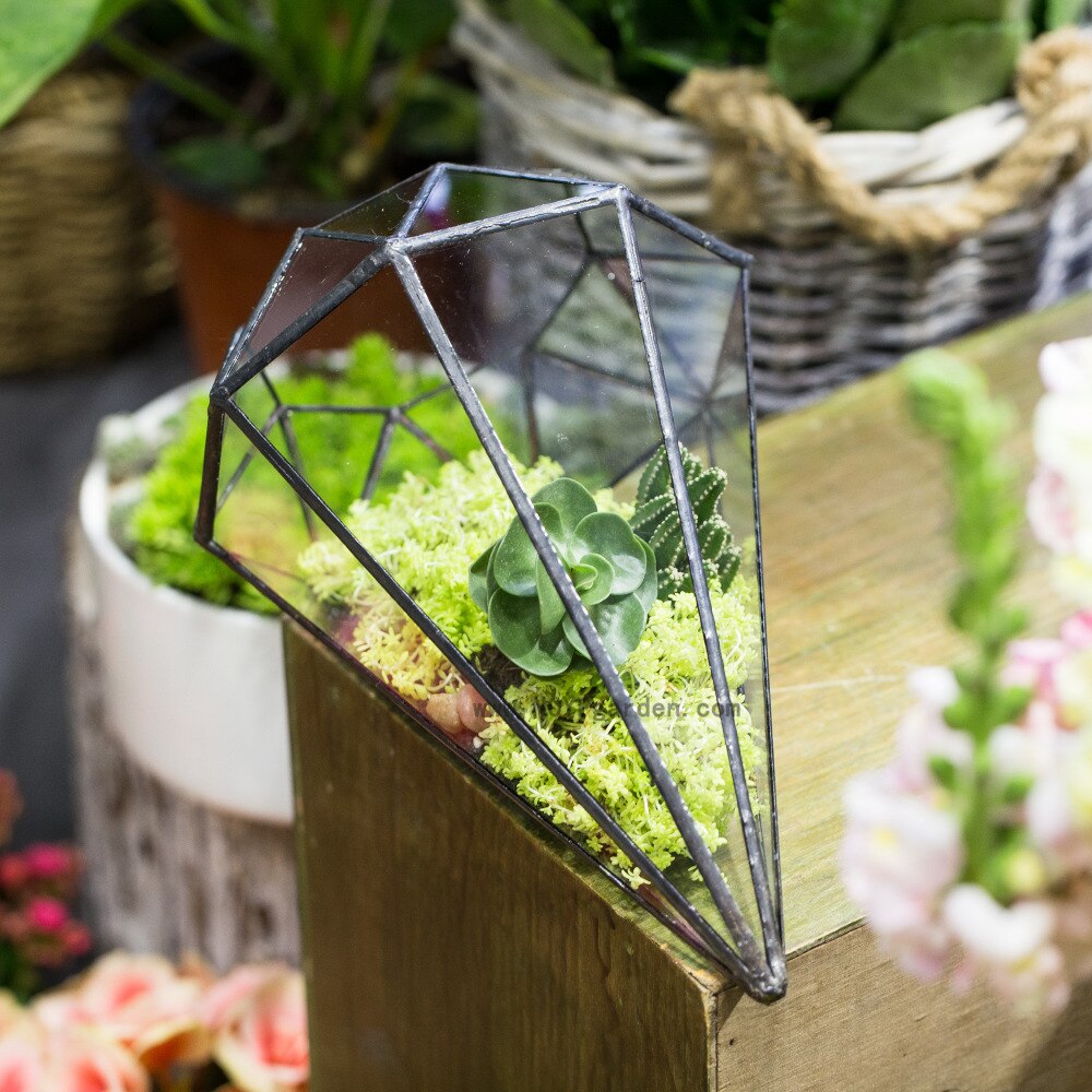 Handmade Long Diamond Glass Geometric Terrarium for Succulent Airplants Cacti Moss - NCYPgarden