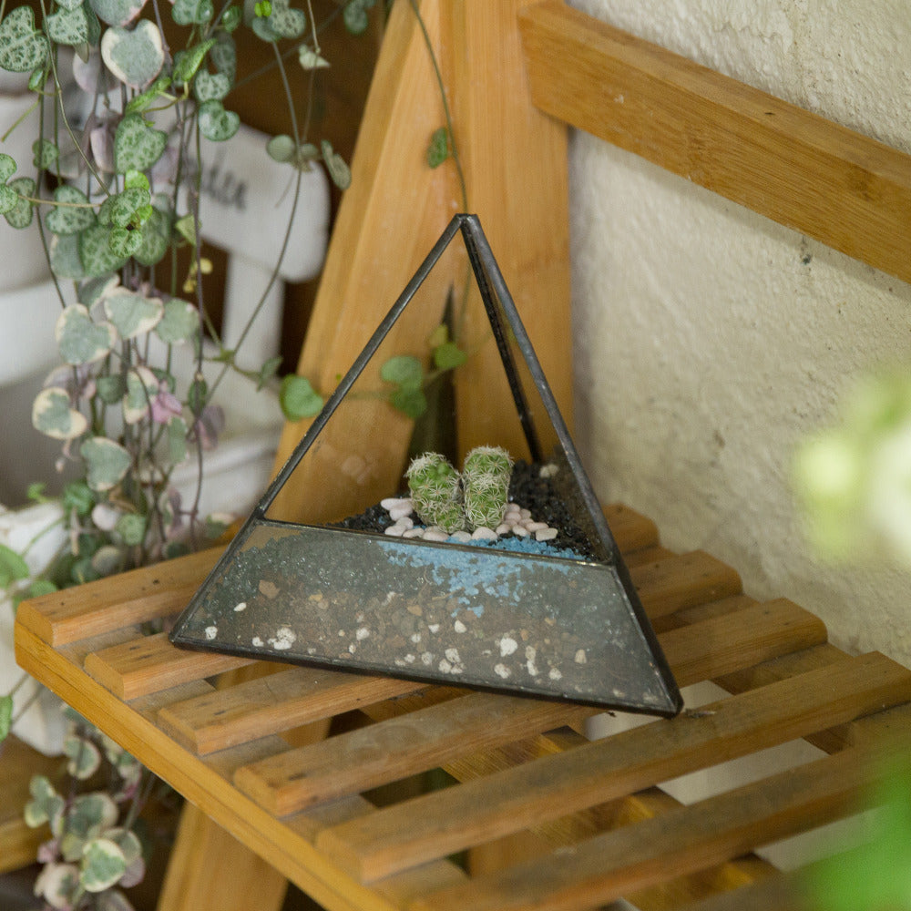 Handmade Small Pyramid Glass Geometric Terrarium for Ring Box Moss Cacti - NCYPgarden