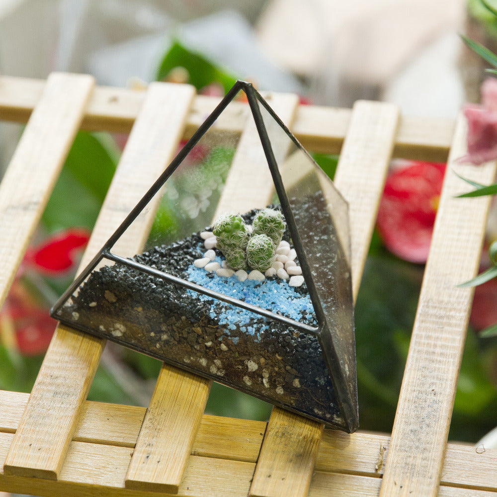 Handmade Small Pyramid Glass Geometric Terrarium for Ring Box Moss Cacti - NCYPgarden