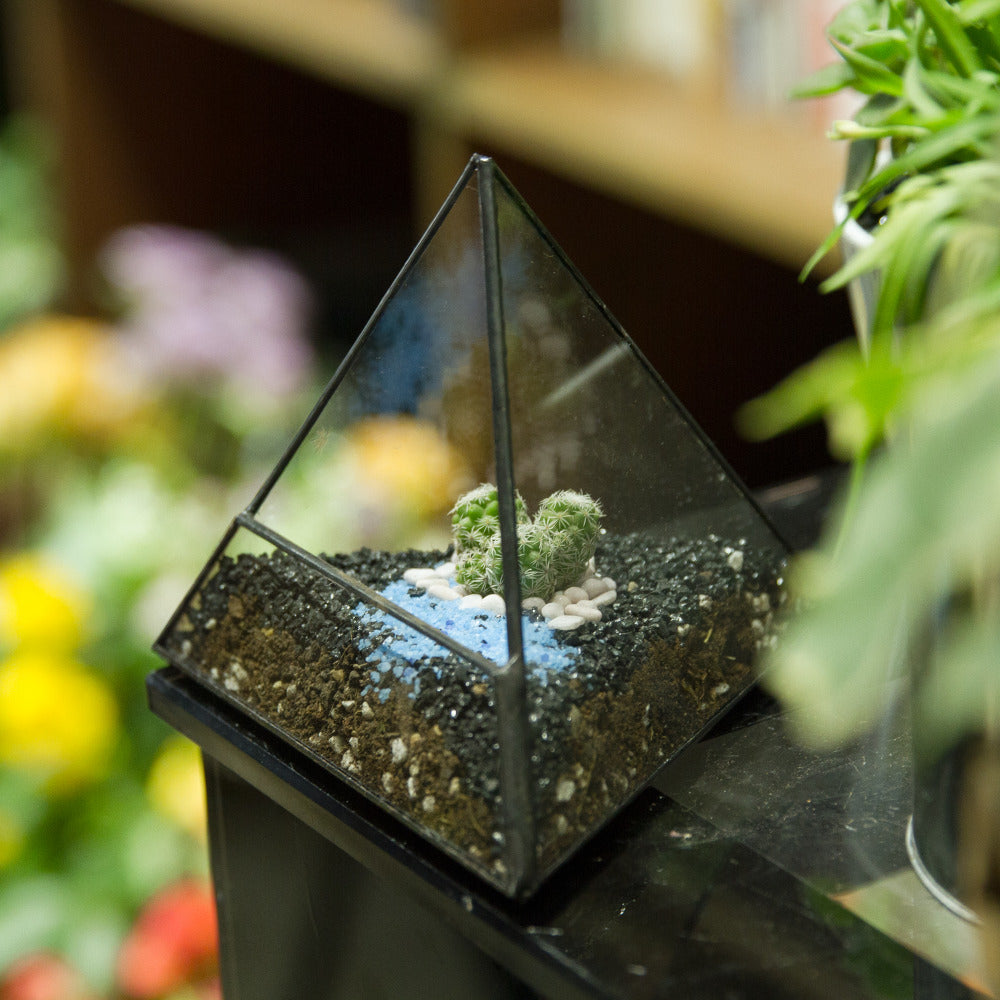 Handmade Small Pyramid Glass Geometric Terrarium for Ring Box Moss Cacti - NCYPgarden