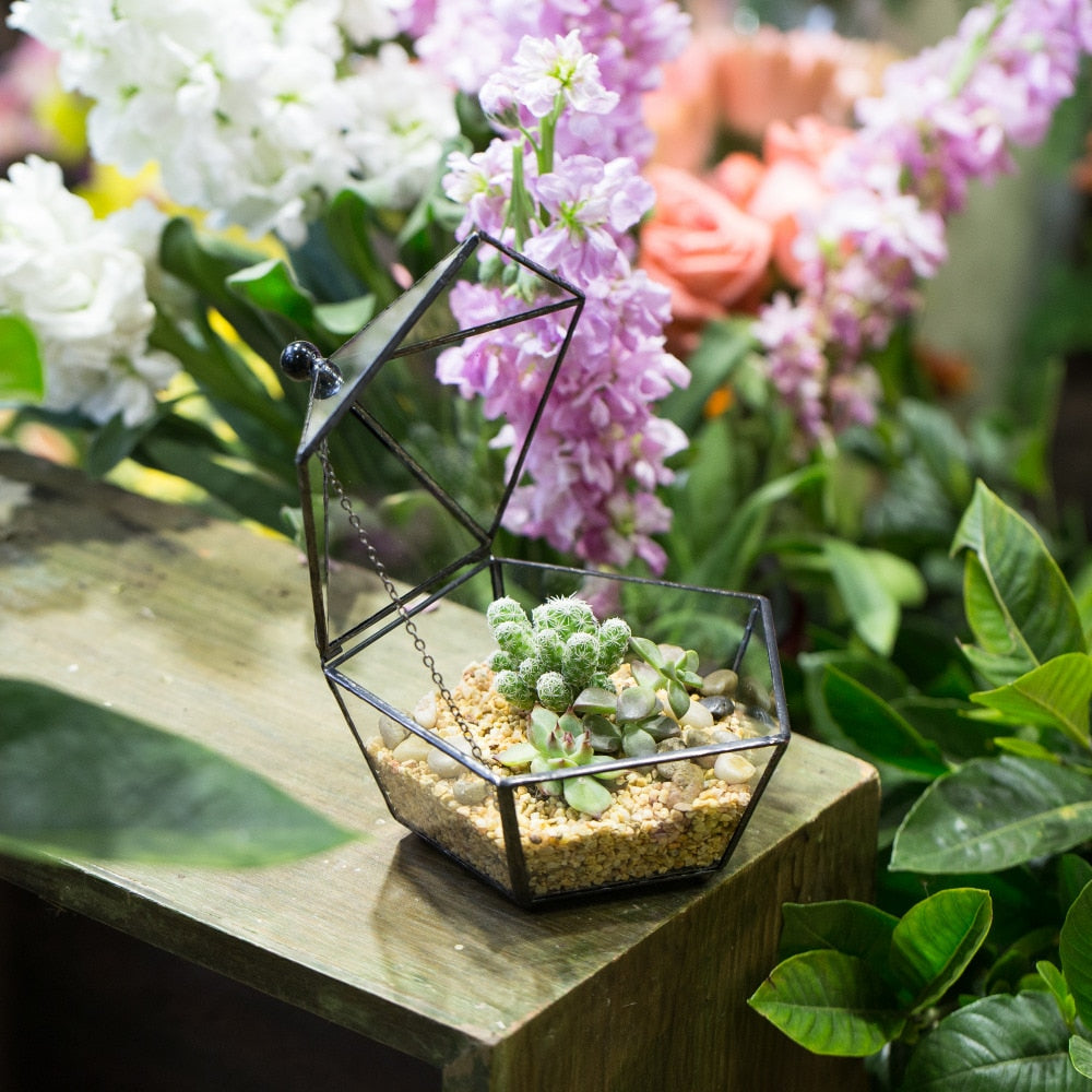 Handmade Small Modern Clear Jewelry BoxGlass Geometric Terrarium for Wedding Planters Succulents - NCYPgarden