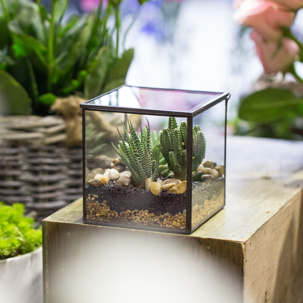 Handmade Small Square Glass Terrarium Box for Succulents Moss Jewelry Succulents - NCYPgarden